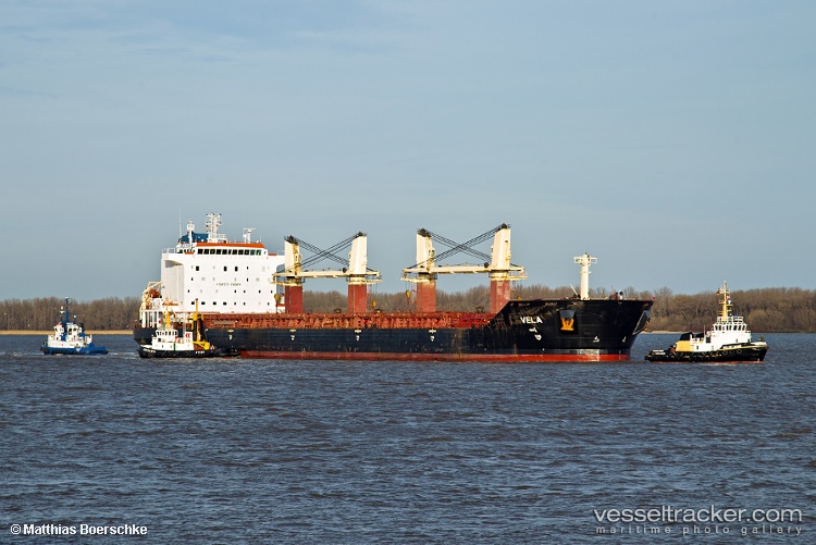 Vela - Bulk Carrier vessel