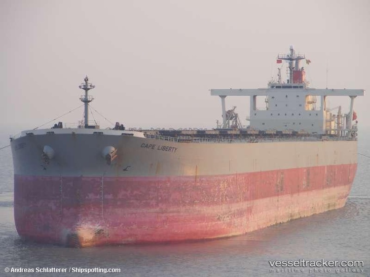 Ally - Bulk Carrier vessel