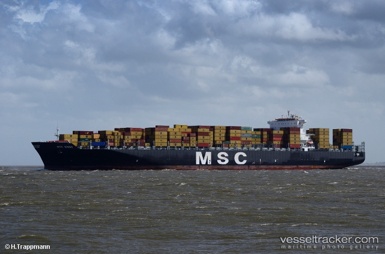 Msc-Sindy