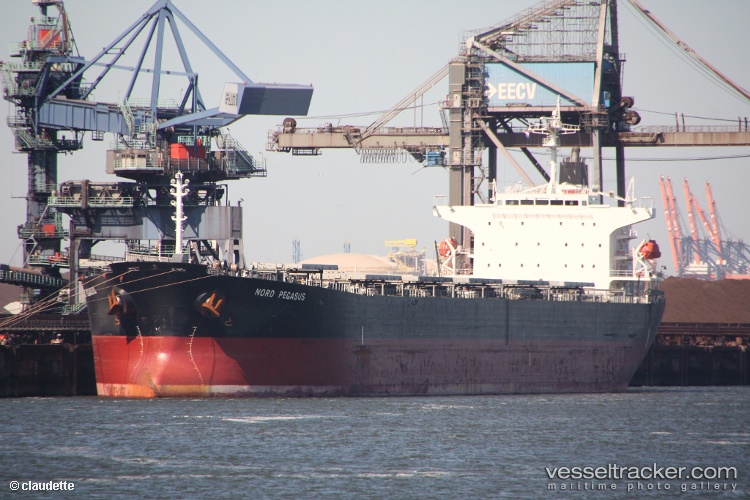 The-Ruler - Bulk Carrier vessel