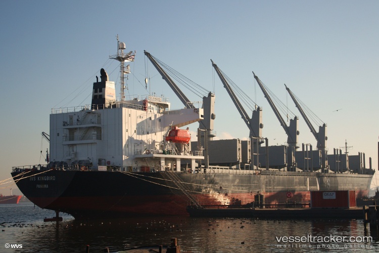 Mavi-Vatan - Bulk Carrier