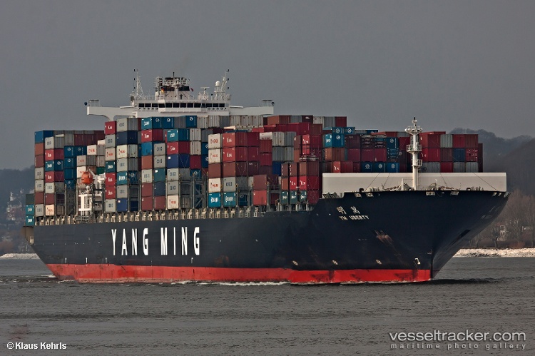 Msc-Uberty-Viii - Container Ship vessel