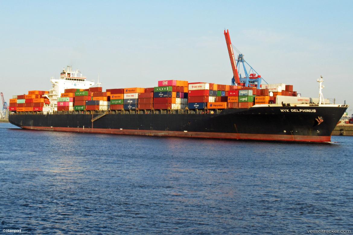 Delphinus-C - Container Ship vessel