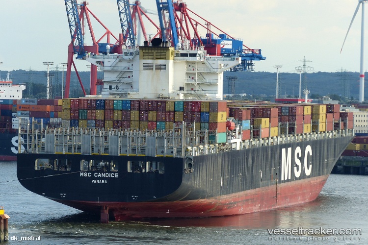 Msc-Candice - Container Ship vessel