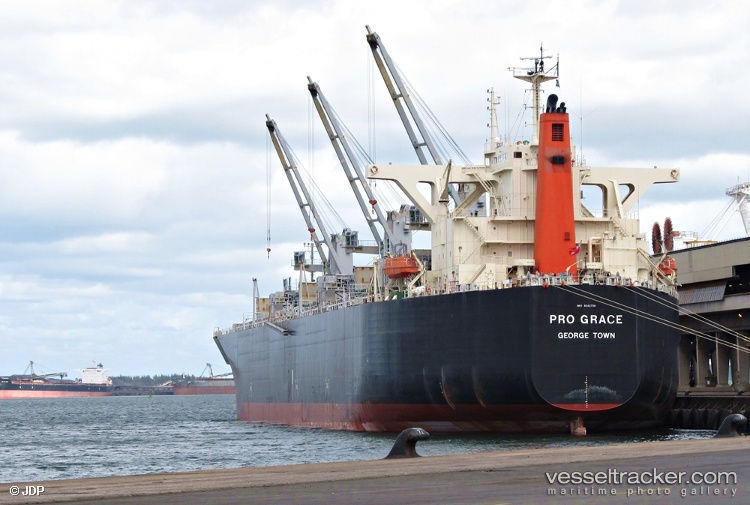 Pro-Grace - Wood Chips Carrier vessel