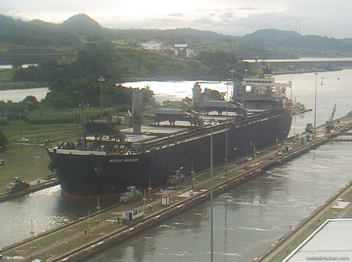 Regno-Marinus - Wood Chips Carrier vessel