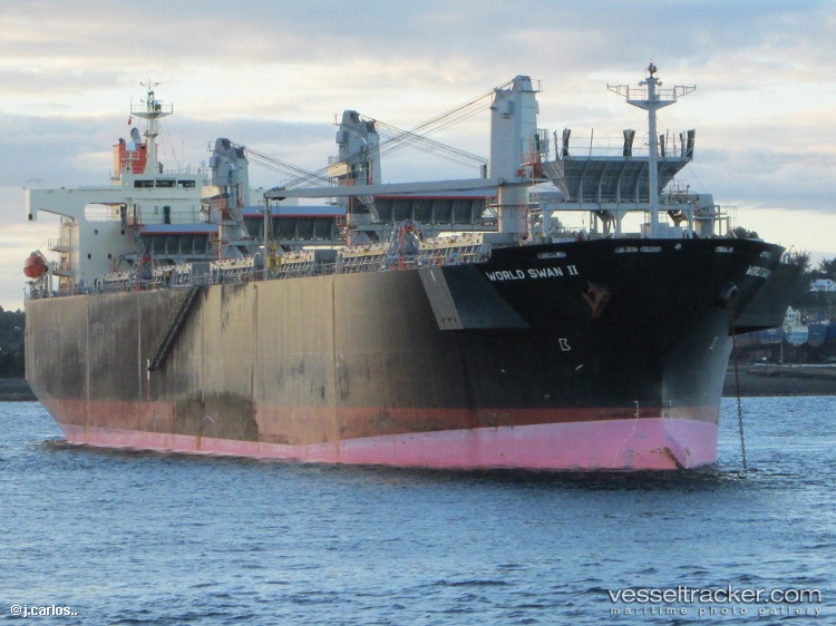 World-Swan-Ii - Wood Chips Carrier vessel