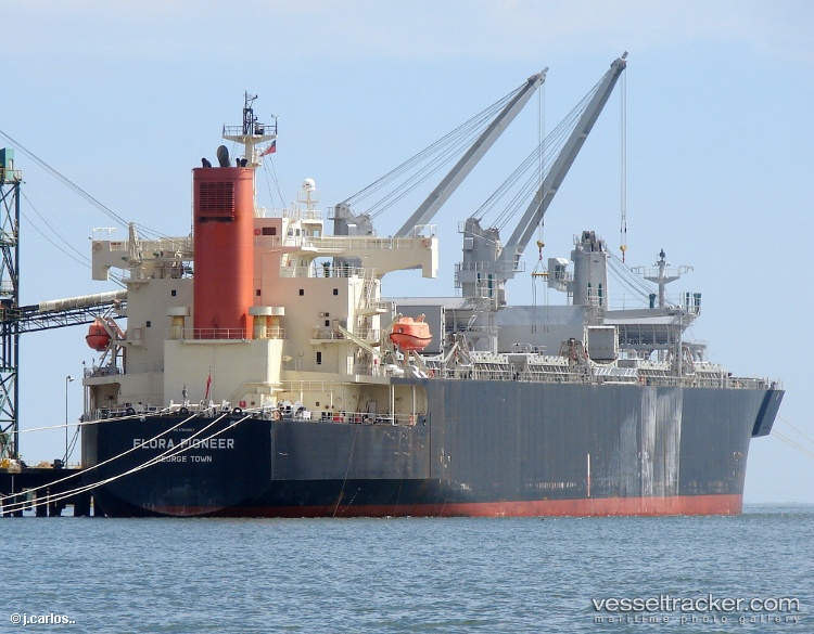 Flora-Pioneer - Wood Chips Carrier vessel