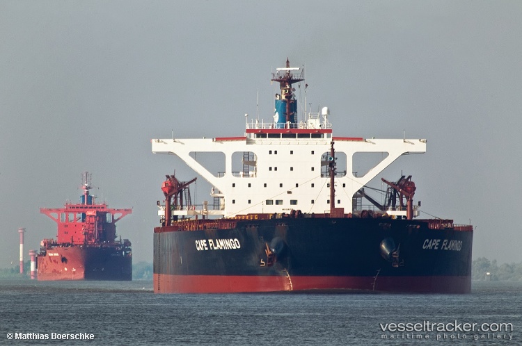 Cape-Zhongtuo - Bulk Carrier vessel