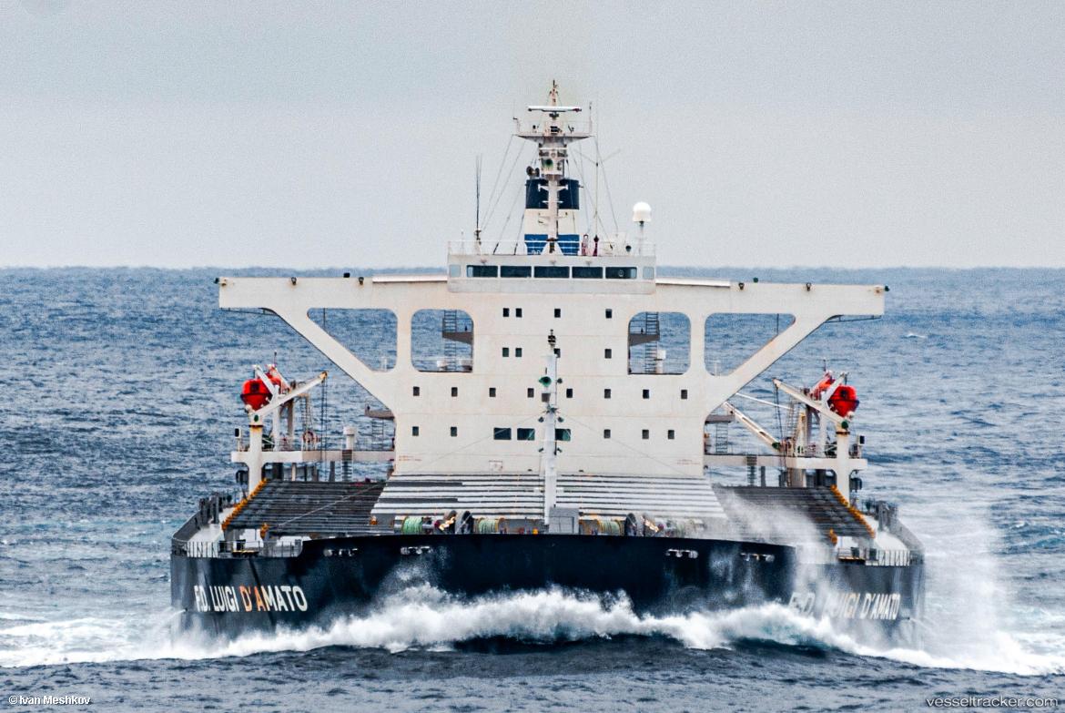 Irene-Ii - Bulk Carrier vessel