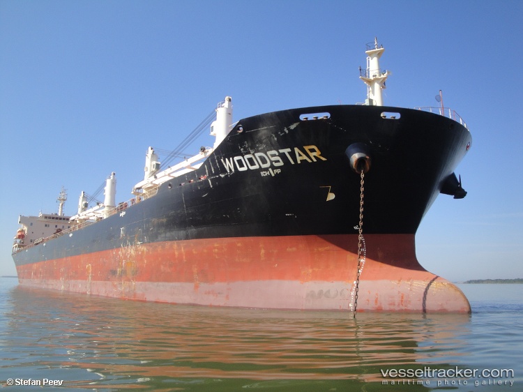 Yong-Jin - Bulk Carrier vessel