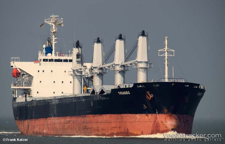 Vladimir-Shilkov - Bulk Carrier vessel