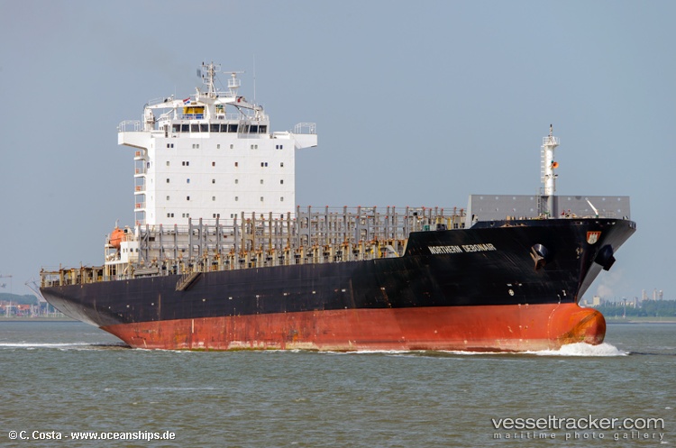 Newnew-Star - Container Ship vessel