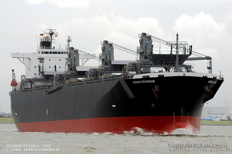 Ocean-Pegasus - Wood Chips Carrier
