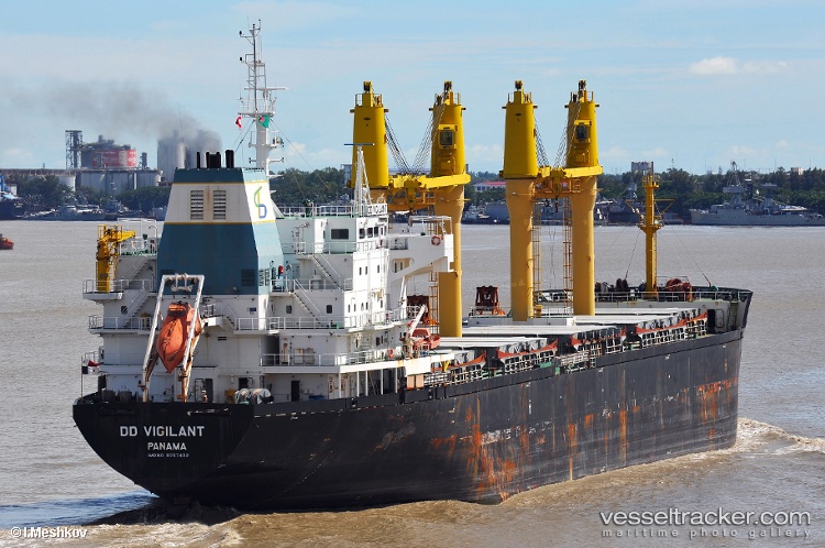 Dd-Vigilant - Bulk Carrier vessel