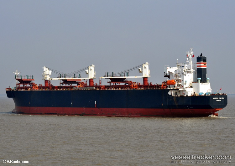 First-Angel - Wood Chips Carrier vessel