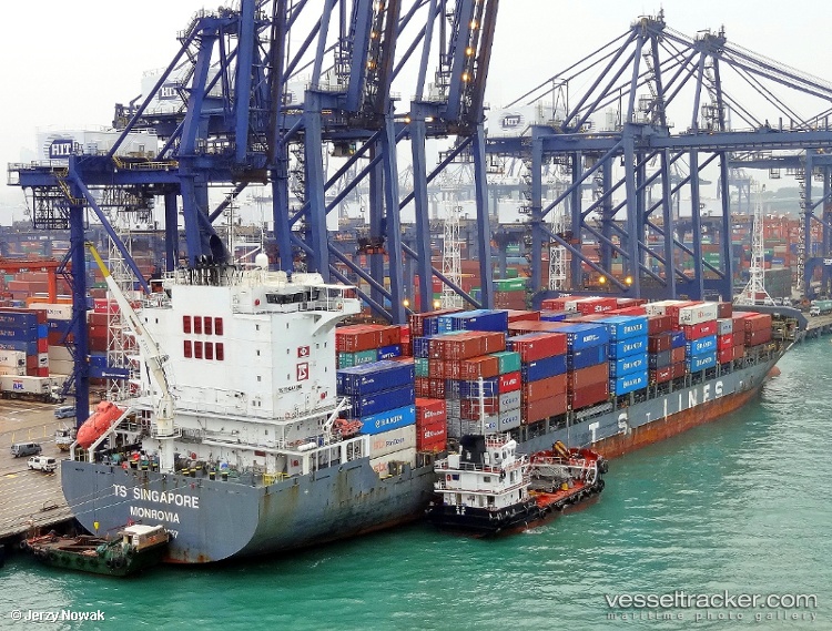 Apollon-D - Container Ship vessel
