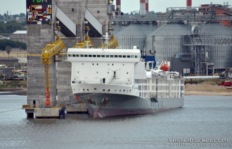 Ocean-Swagman - Livestock Carrier