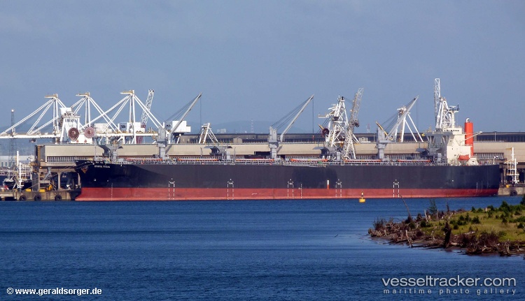 Strelitzia - Wood Chips Carrier vessel