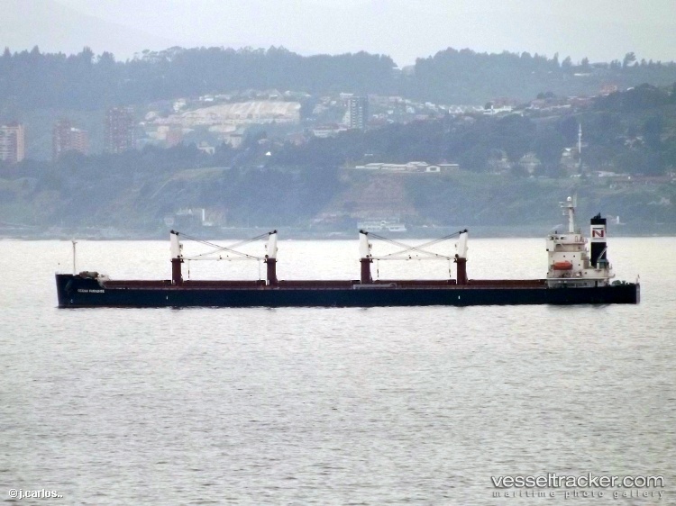 The-Loving - Bulk Carrier vessel