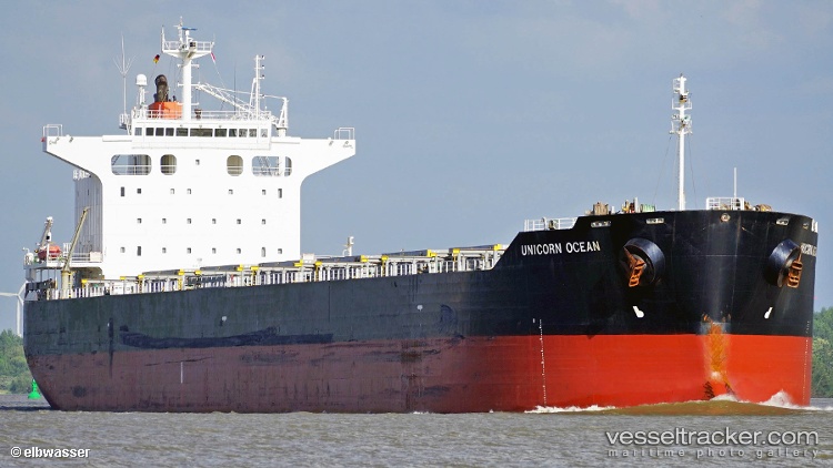 Castor - Bulk Carrier vessel