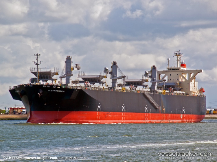Alstroemeria - Wood Chips Carrier vessel