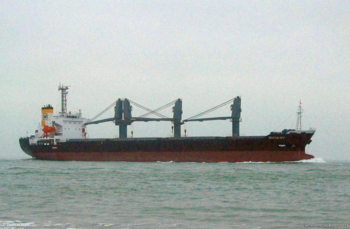 White-Ivy - Bulk Carrier vessel