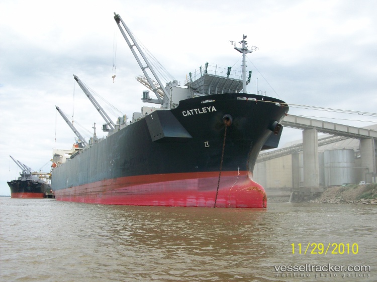 Cattleya - Wood Chips Carrier vessel