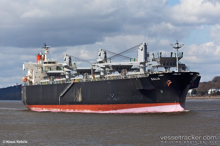 Bg-Brilliance - Wood Chips Carrier vessel