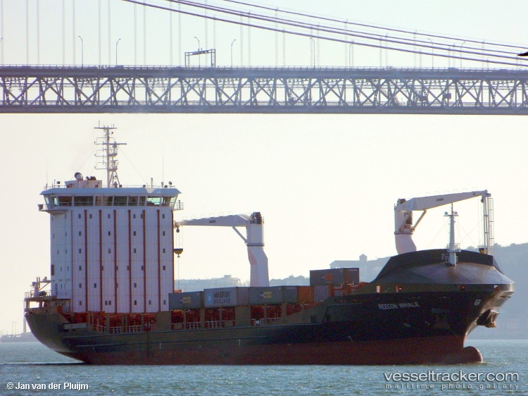 Vera-A - Container Ship vessel
