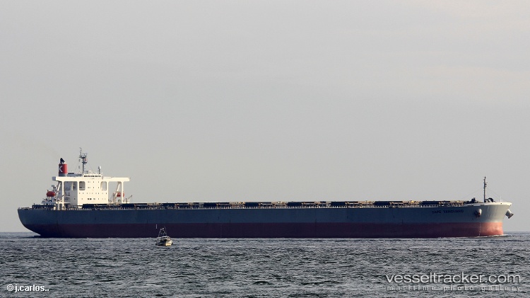 Samc-Mg - Ore Carrier vessel