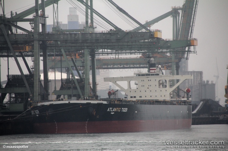 Sunny-Kindia - Bulk Carrier vessel
