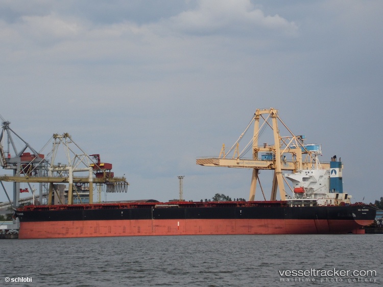 Sea-Diamond - Bulk Carrier vessel