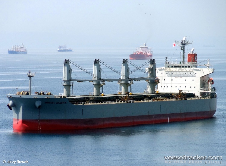 Gemini - Bulk Carrier vessel