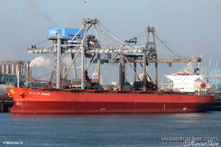 Ocean-Belt - Bulk Carrier