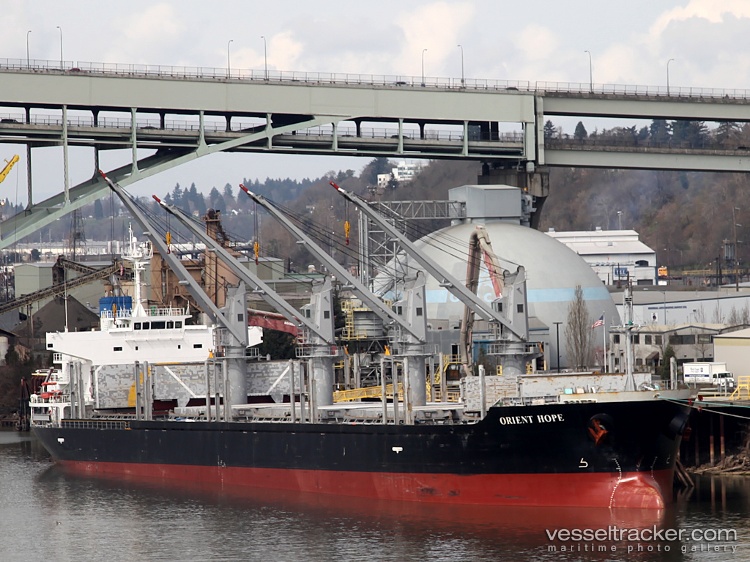 Eco-Angelbay - Bulk Carrier vessel