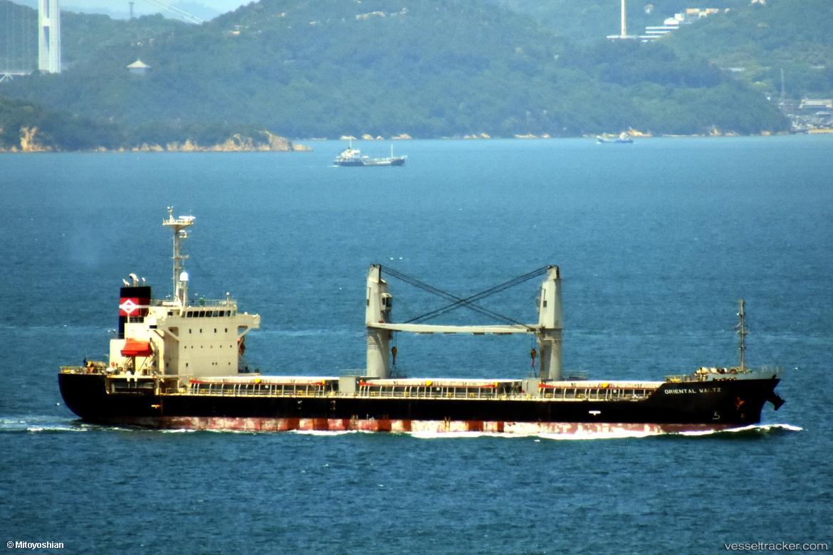 Trawind-Vision - Bulk Carrier vessel