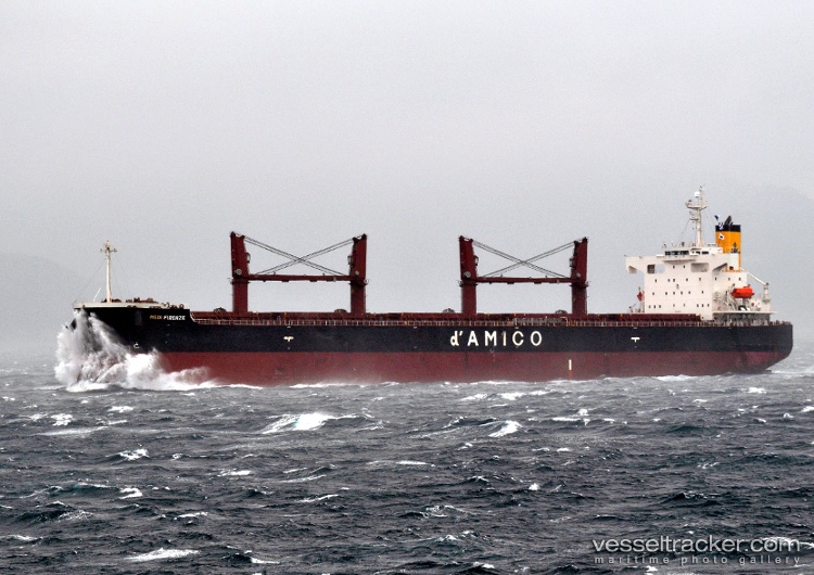 Sea-Bravery - Bulk Carrier vessel