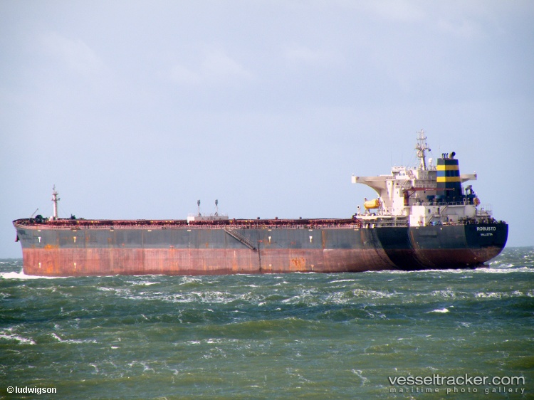 Robusto - Bulk Carrier vessel