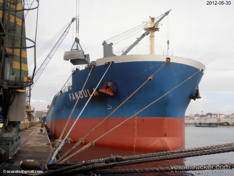 Gingko - Bulk Carrier vessel