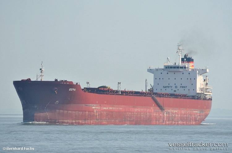 Wu-Yang-Glory - Bulk Carrier vessel