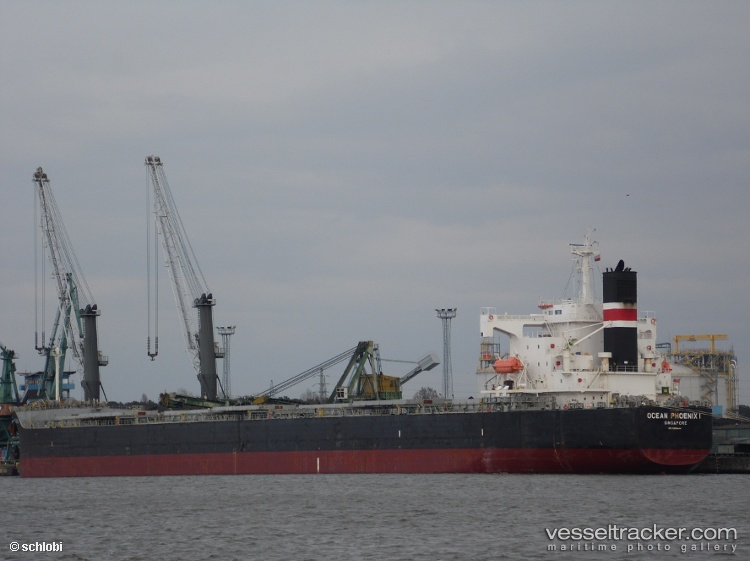 Braveheart-I - Bulk Carrier vessel