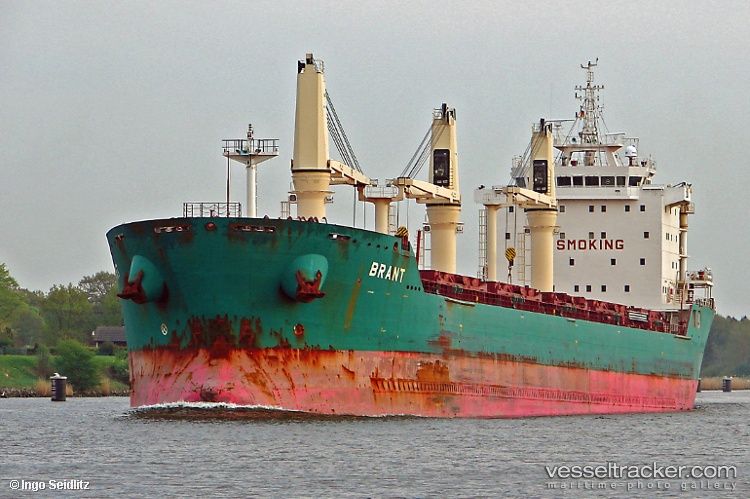 Brant - Bulk Carrier vessel
