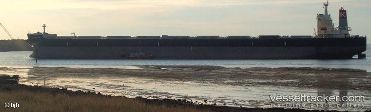 Wu-Ying-Star - Bulk Carrier vessel