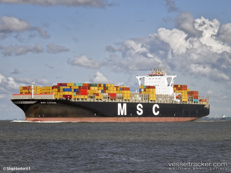 Msc-Luciana