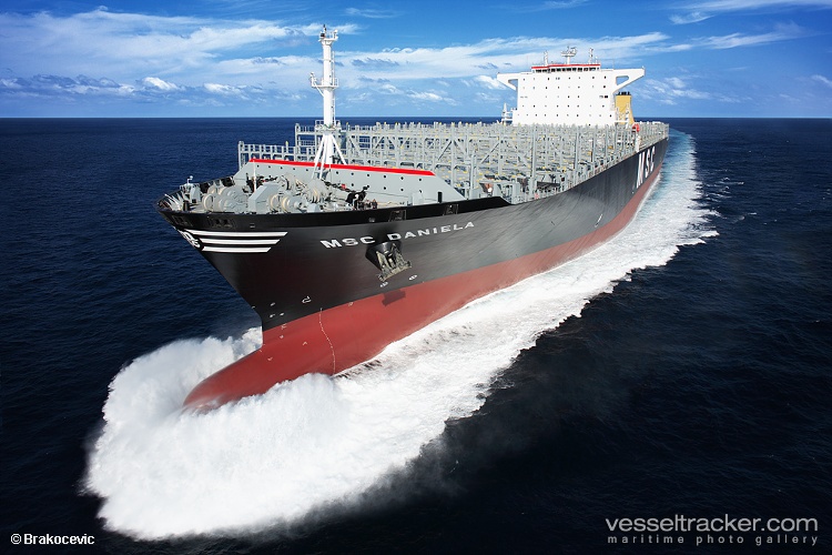 Msc-Daniela