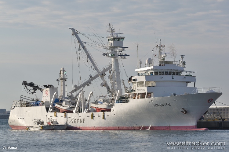 Viva-Bear-707 - Fishing Vessel vessel