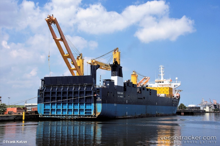 Mexican-Giant - Heavy Load Carrier