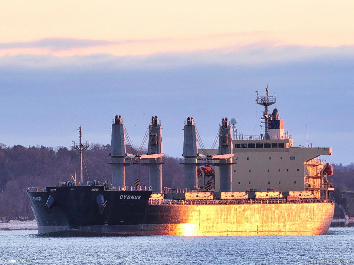 Cygnus - Bulk Carrier vessel