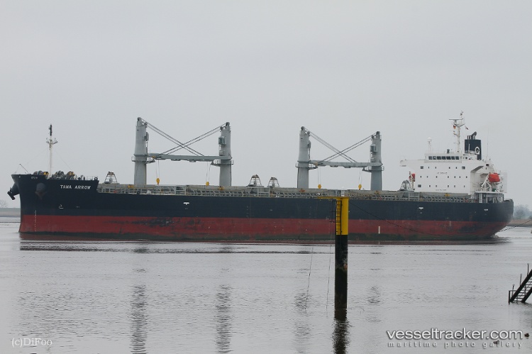 Tawa-Arrow - General Cargo Ship vessel